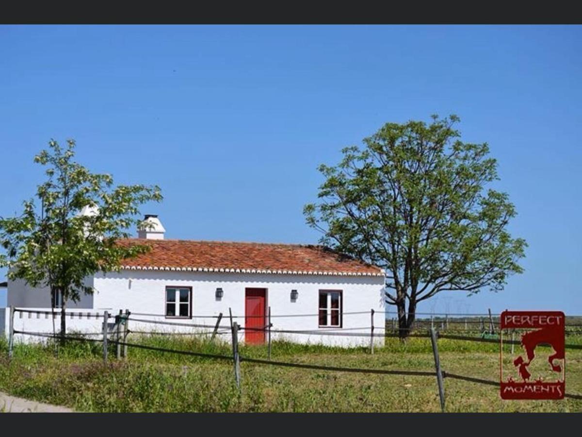 Monte Da Boavista - Country Family House Villa Alter do Chão Exterior foto