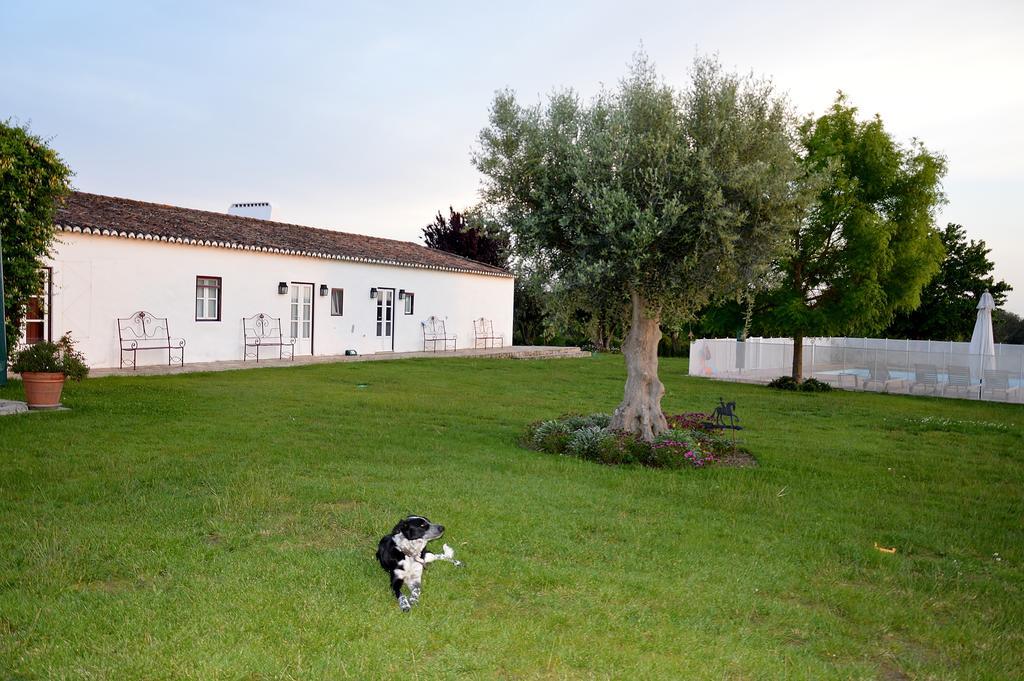 Monte Da Boavista - Country Family House Villa Alter do Chão Exterior foto